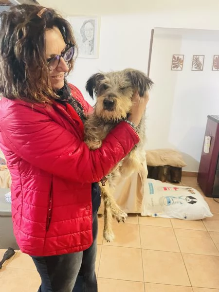 Alice 10 anni cerca  | Foto 3