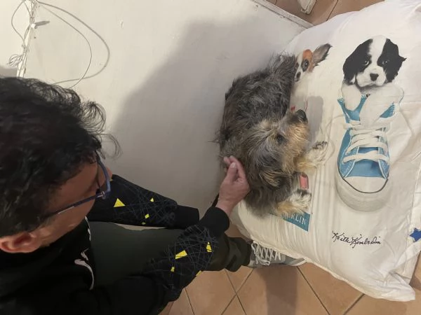 Alice 10 anni cerca  | Foto 0