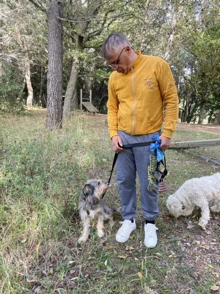 Alice simil Yorkshire 10 anni | Foto 2