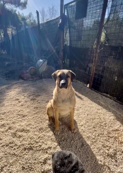 Mafalda ci spera ancora 