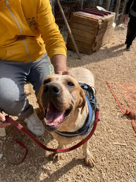 Aria cerca casa  | Foto 6