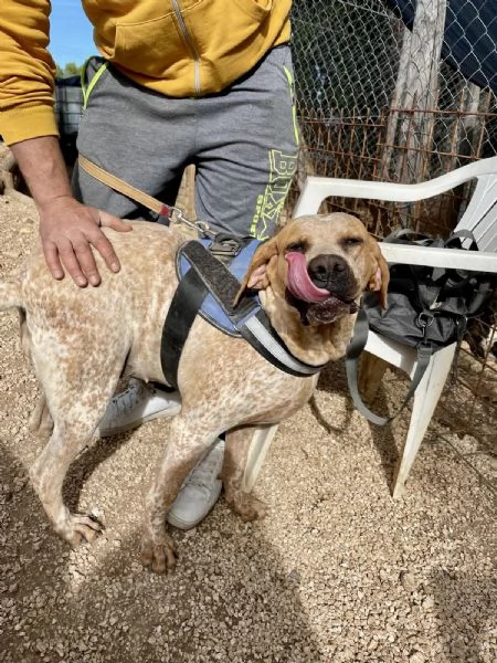 Aria cerca casa  | Foto 5