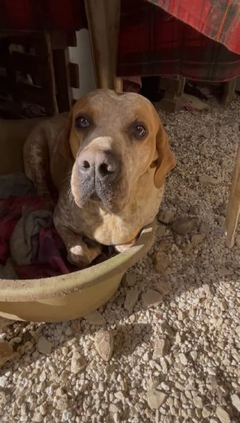 Aria cerca casa  | Foto 4