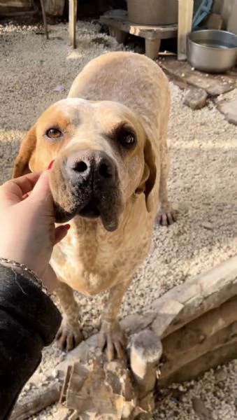 Aria cerca casa  | Foto 3