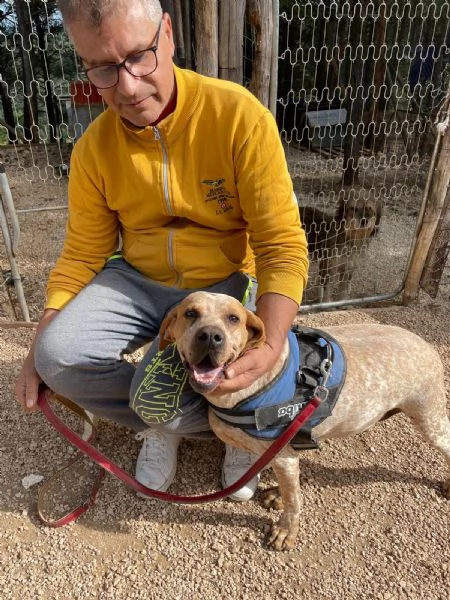 Aria cerca casa  | Foto 2