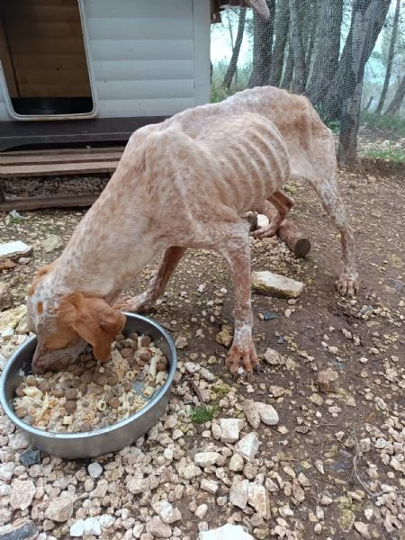 Aria cerca casa  | Foto 1