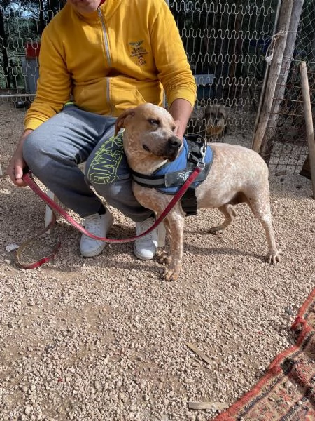 Aria cerca casa  | Foto 0