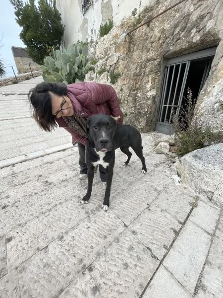 Cloe Alano cerca casa  | Foto 0