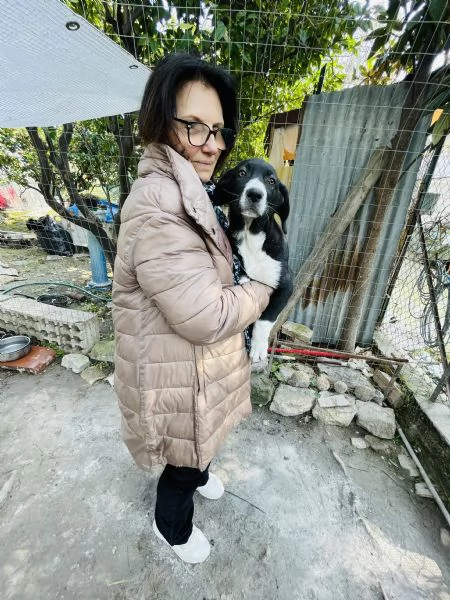 Thor cucciolo cerca casa  | Foto 0