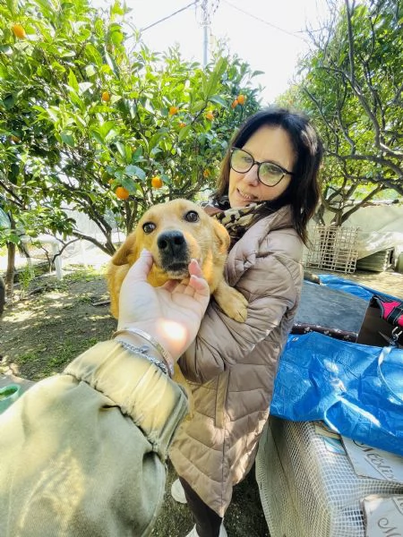 Moka cerca casa  | Foto 3