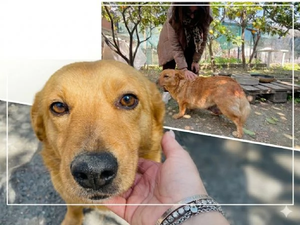 Moka cerca casa  | Foto 2