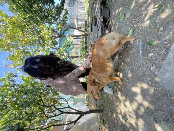 Moka cerca casa  | Foto 0