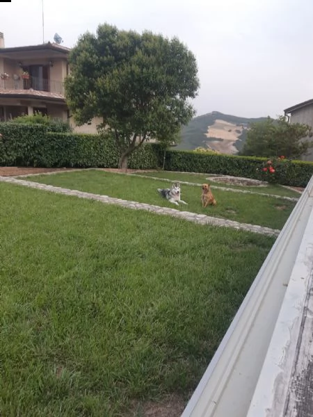 regalo perspazio insufficiente a veri amanti | Foto 2