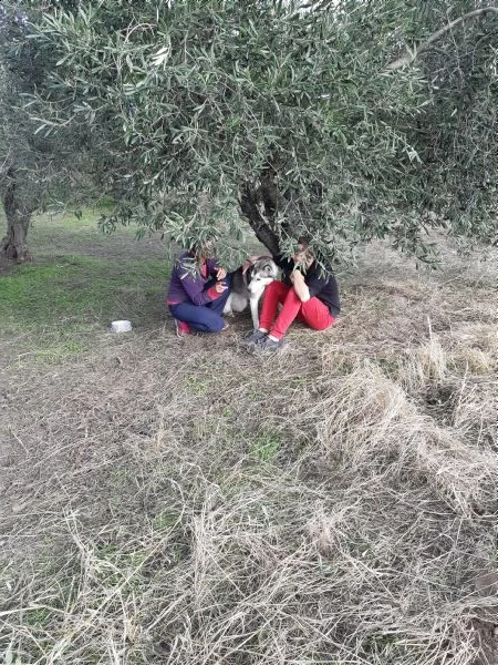 regalo perspazio insufficiente a veri amanti | Foto 0