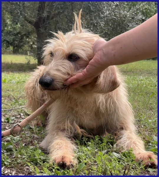 GIACOMO CAGNOLINO 4 ANNI | Foto 0