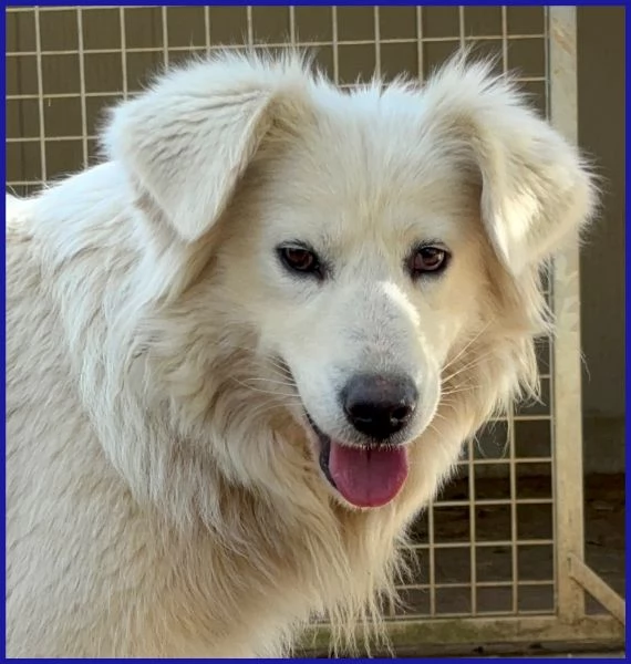 UFFA SIMIL MAREMMANA 3 ANNI | Foto 1