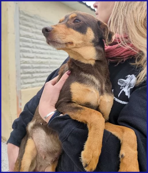 MOU TENERISSIMA PICCOLETTA DI 2 ANNI | Foto 5