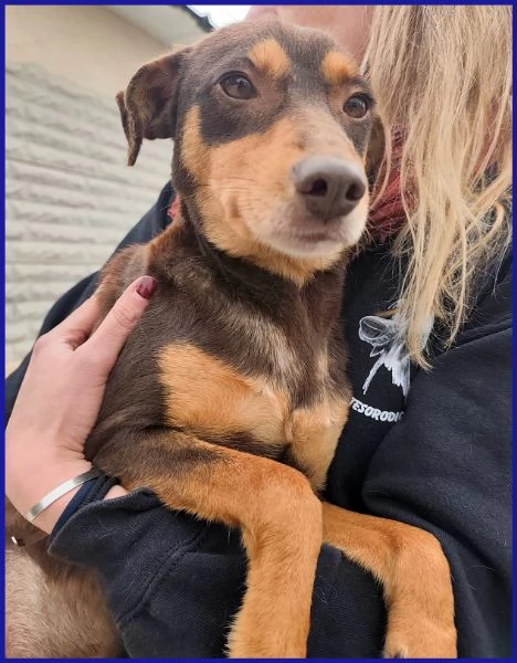 MOU TENERISSIMA PICCOLETTA DI 2 ANNI | Foto 3