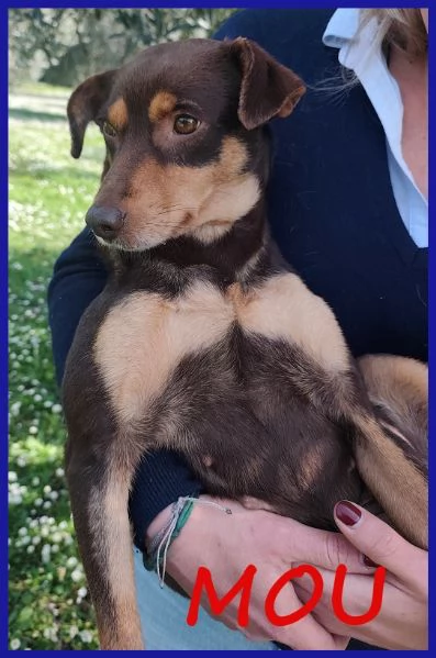 MOU TENERISSIMA PICCOLETTA DI 2 ANNI | Foto 0