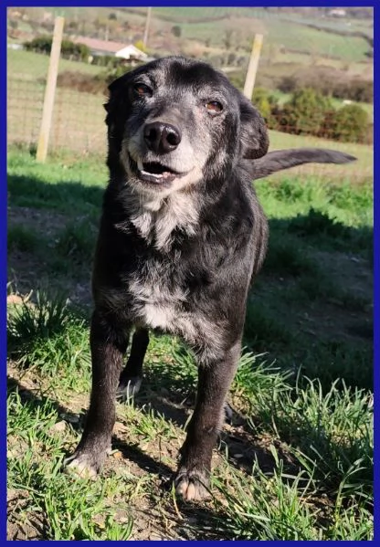 BULLONE UN TENERO VECCHIETTO | Foto 2