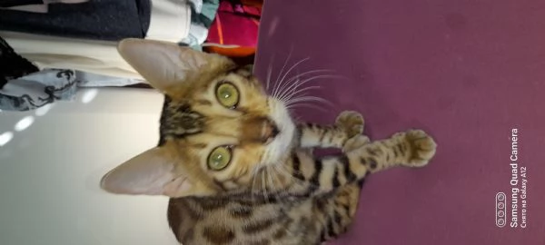 buongiorno toy nano charlie.12 mesi nero | Foto 0