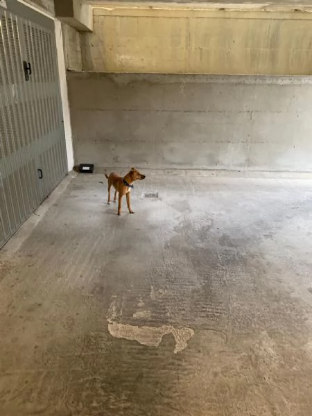 bingo | Foto 0