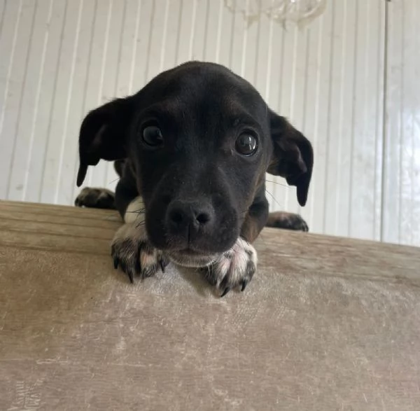 LEON e sorelline | Foto 0