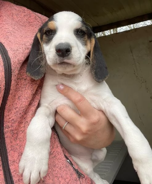 TENERE SORELLINE MIX SEGUGINE | Foto 1