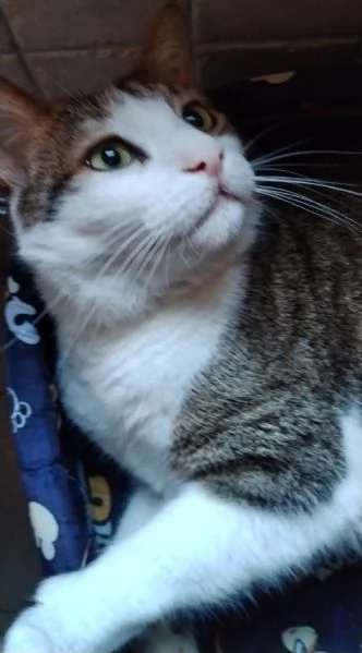 Matisse 6 anni di dolcezza | Foto 1