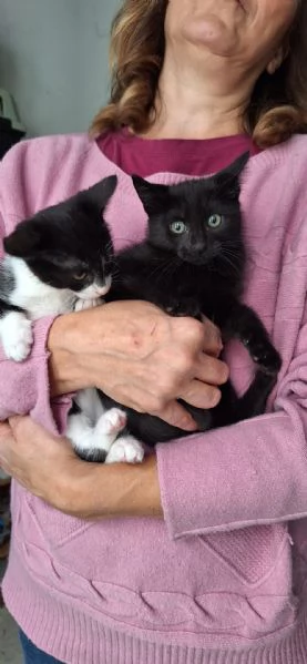 Mulan e Belle due batuffoli in cerca damore  | Foto 4