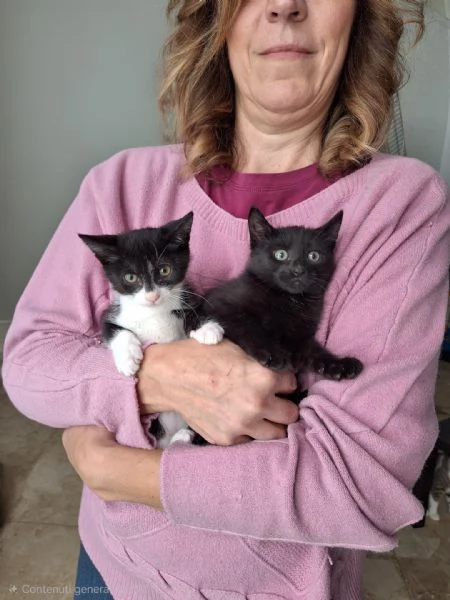 Mulan e Belle due batuffoli in cerca damore  | Foto 3