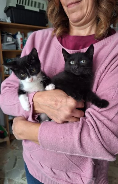 Mulan e Belle due batuffoli in cerca damore  | Foto 2