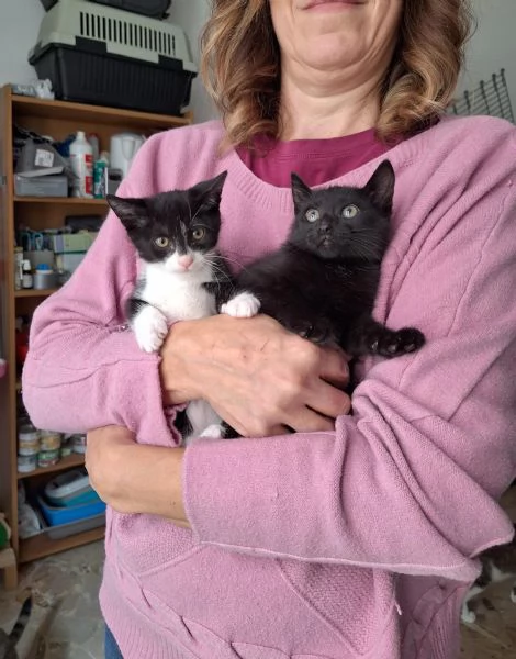 Mulan e Belle due batuffoli in cerca damore 