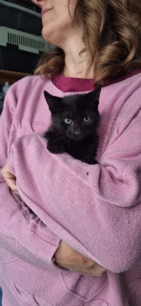 Mulan e Belle due batuffoli in cerca damore  | Foto 0