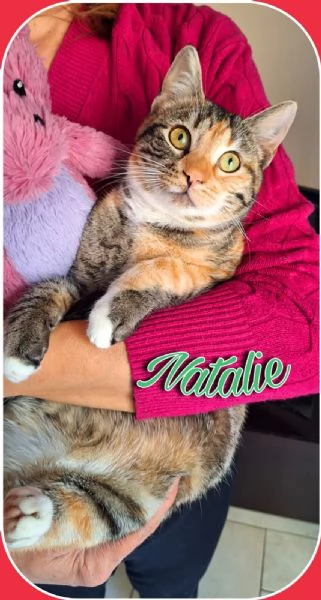 Natalie il tuo dono coccoloso per Natale | Foto 5