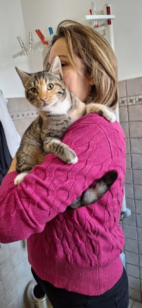 Natalie il tuo dono coccoloso per Natale | Foto 4