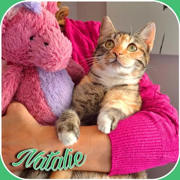 Natalie il tuo dono coccoloso per Natale | Foto 2