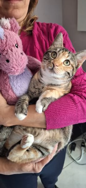 Natalie il tuo dono coccoloso per Natale | Foto 1