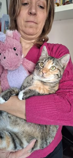 Natalie il tuo dono coccoloso per Natale | Foto 0