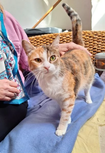 Maggie 1 anno di dolcezza  | Foto 6