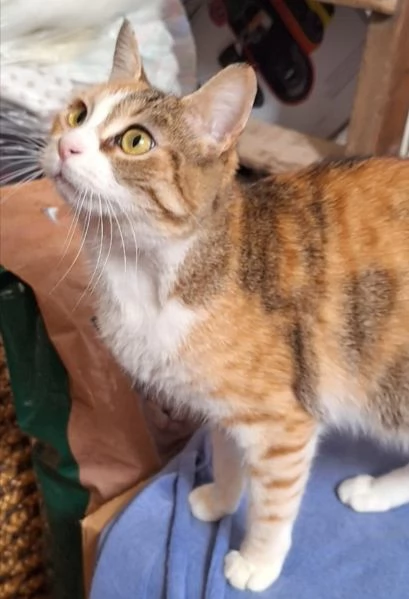 Maggie 1 anno di dolcezza  | Foto 4