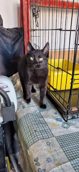 Mulan e Merida due cuori una sola anima | Foto 6