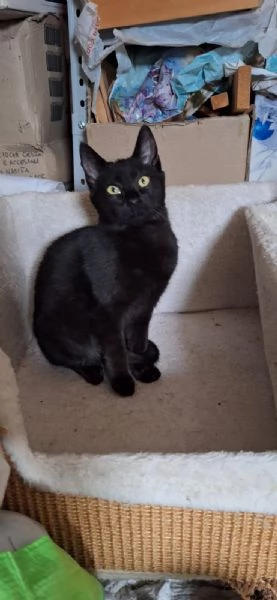 Mulan e Merida due cuori una sola anima | Foto 5