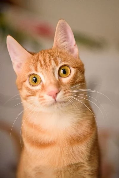 Zoe egrave vita ma la sua egrave chiusa in un box | Foto 3