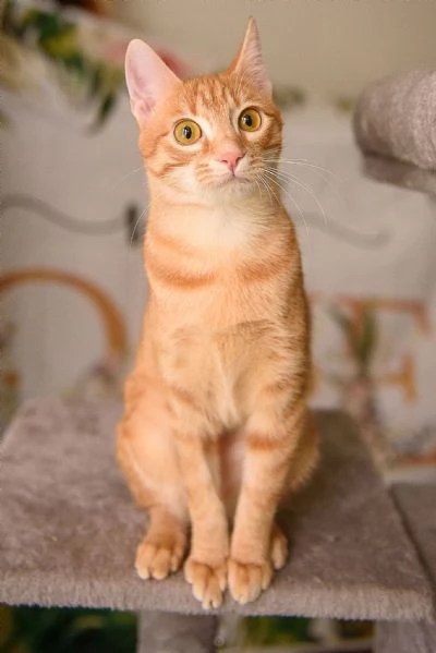 Zoe egrave vita ma la sua egrave chiusa in un box | Foto 2