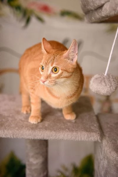 Zoe egrave vita ma la sua egrave chiusa in un box | Foto 1