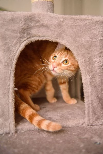 Zoe egrave vita ma la sua egrave chiusa in un box | Foto 0