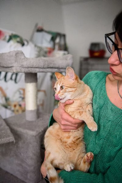 Cherry tenera bijoux rossa | Foto 4