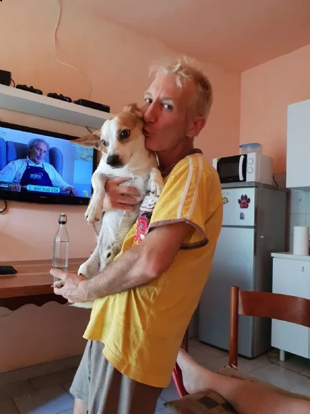 cerco cucciolo taglia piccola in zona lauriano peso kg 6-8.