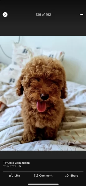 regalo barcelona mini toy disponibile | Foto 0